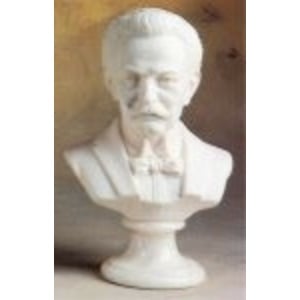 Bust-15cm Strauss