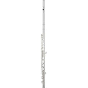Eastman Student Flute 214SE-CO