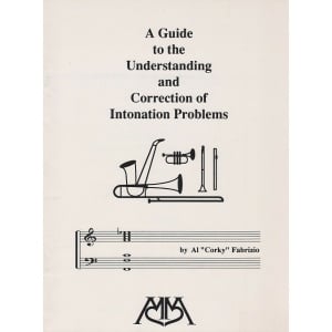 Fabrizio-Guideto Understandin