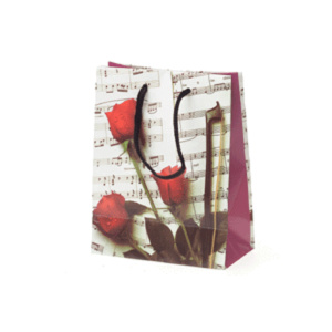Gift Bag-Small