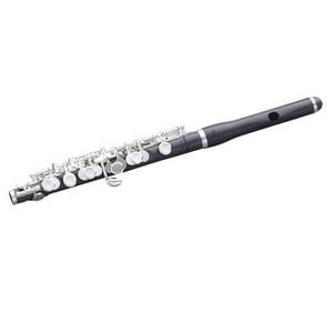 Pearl Piccolo P165E