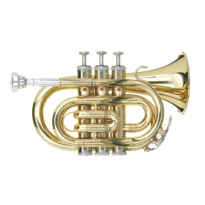 Trumpet-Jupiter Pocket