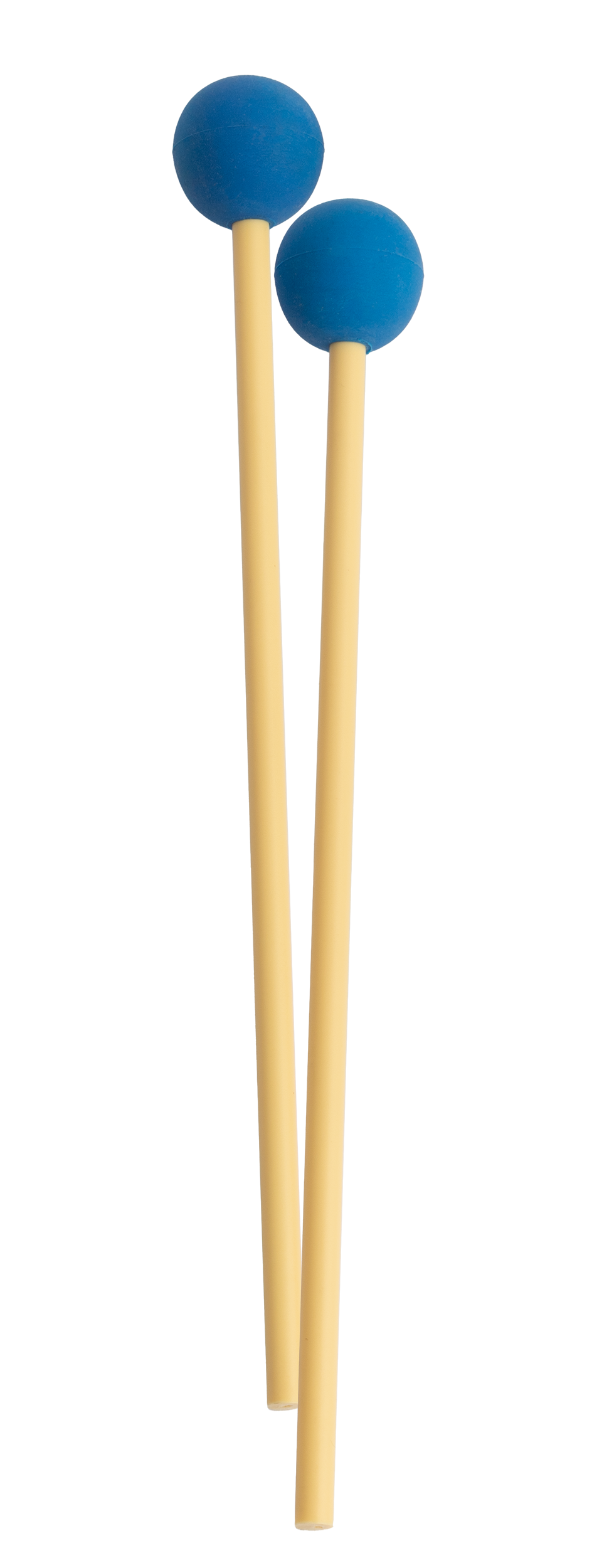 AM30 (1)