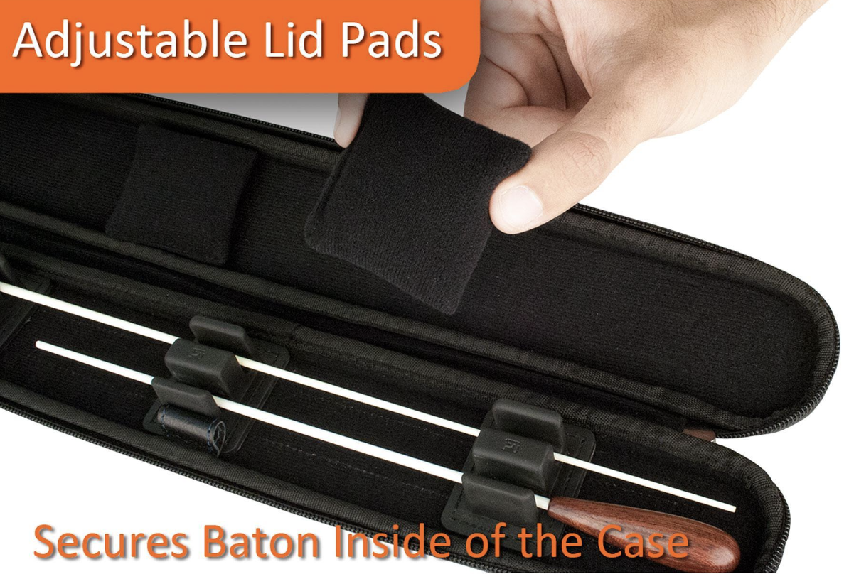 Baton case protec