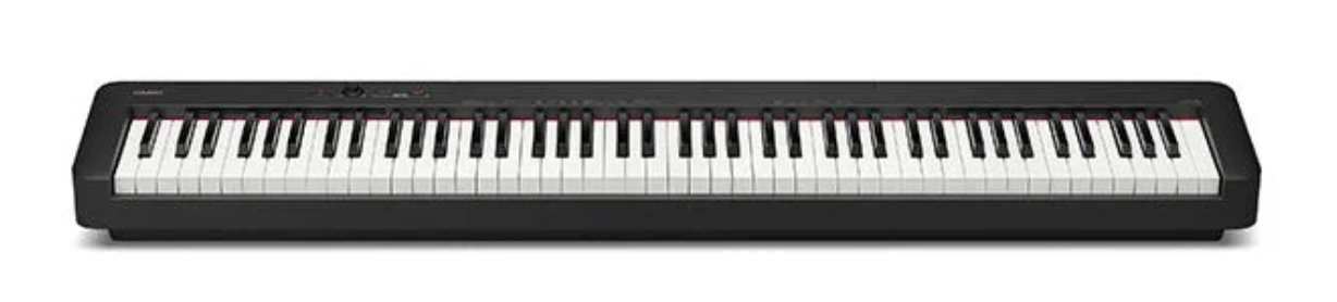 Casio CDPS110