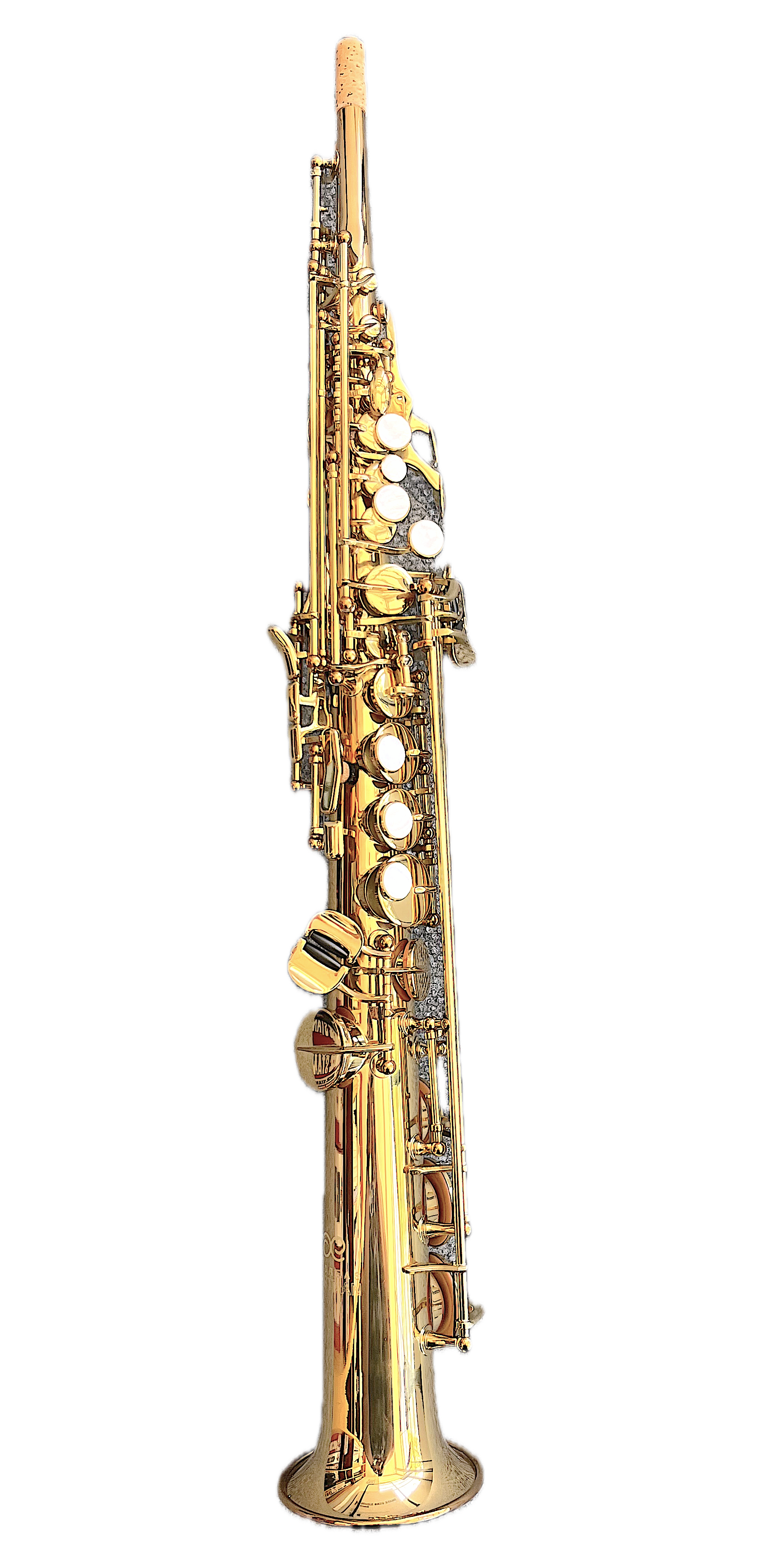 ESS462 sop