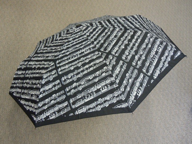 Umbrella-Travel Black Umbrella-Travel Black