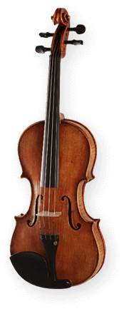 String Instruments