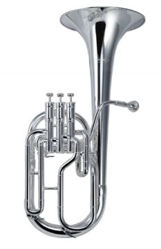 Thorn sca 800