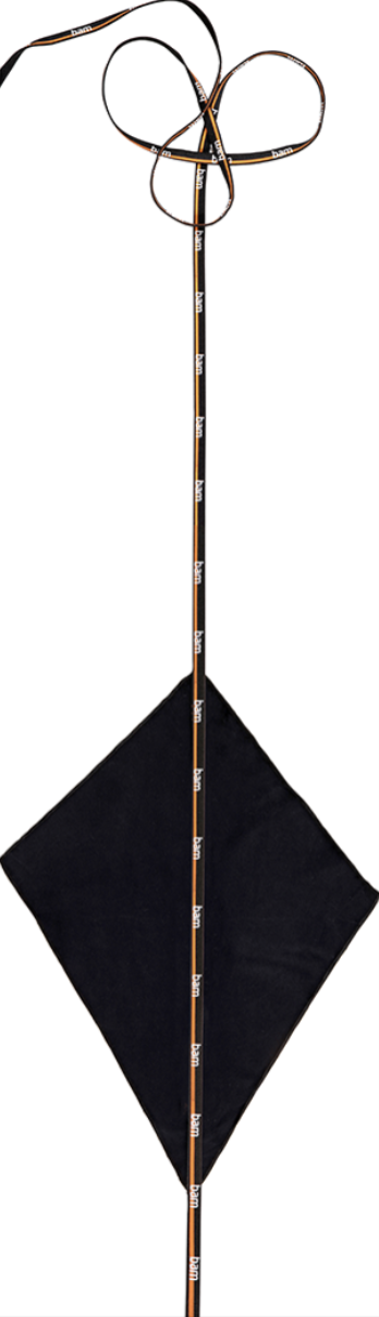 Bam Alto Sax Swab