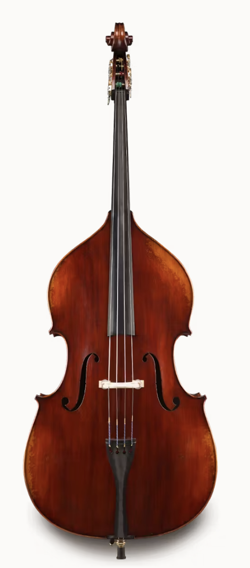 DB eastman 501