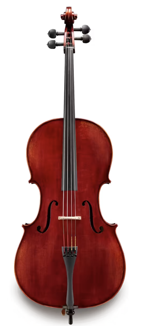 VC Eastman Lupot
