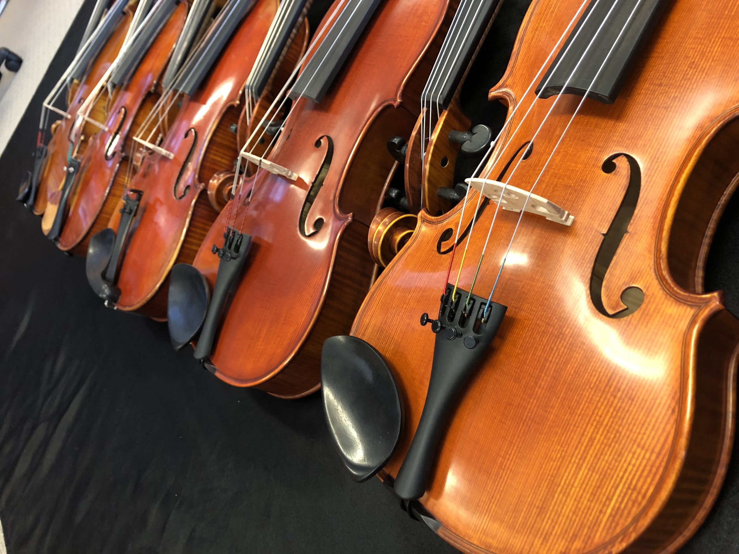 Violas