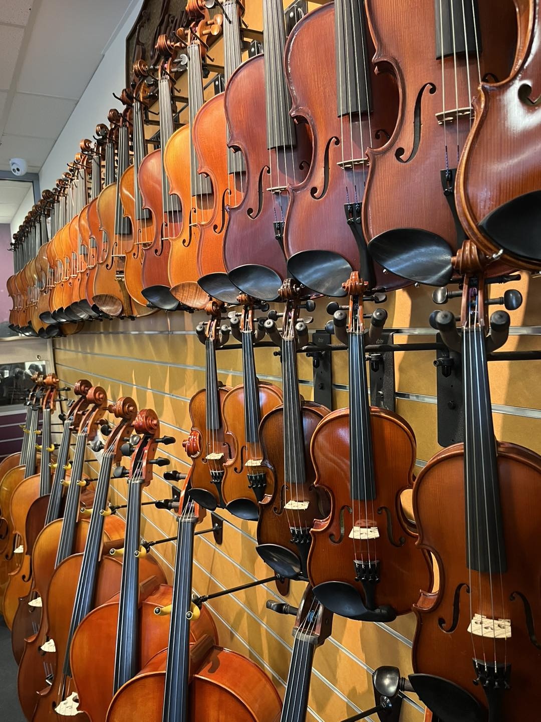 Violins